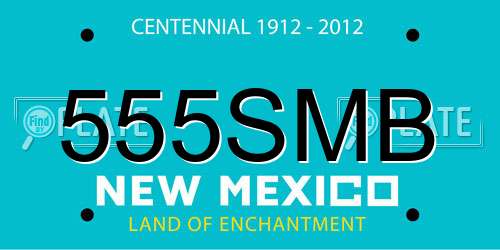 555SMB New Mexico License Plate