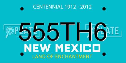 555TH6 New Mexico License Plate