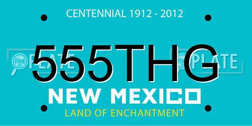 555THG New Mexico License Plate