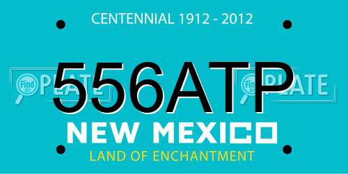 556ATP New Mexico License Plate