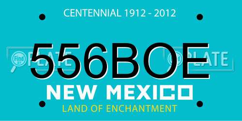 556BOE New Mexico License Plate