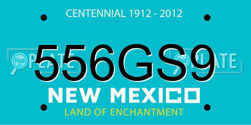 556GS9 New Mexico License Plate