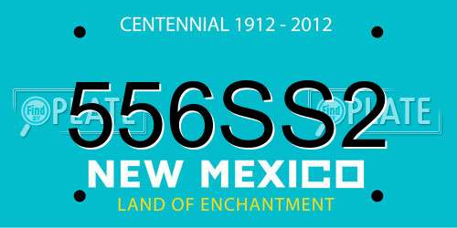 556SS2 New Mexico License Plate