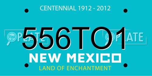 556TO1 New Mexico License Plate