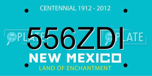 556ZDI New Mexico License Plate