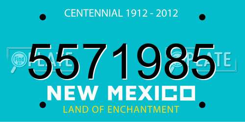5571985 New Mexico License Plate