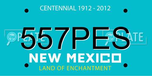 557PES New Mexico License Plate