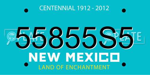55855S5 New Mexico License Plate