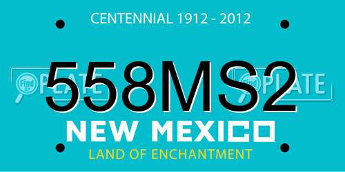 558MS2 New Mexico License Plate