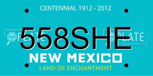 558SHE New Mexico License Plate