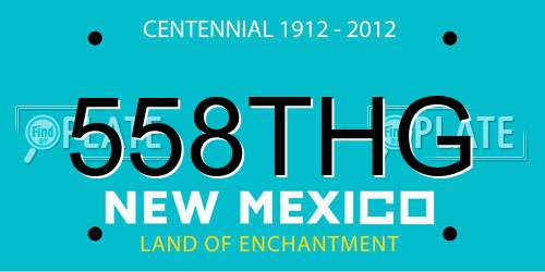 558THG New Mexico License Plate