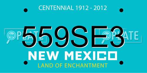 559SE3 New Mexico License Plate