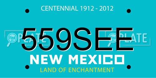 559SEE New Mexico License Plate