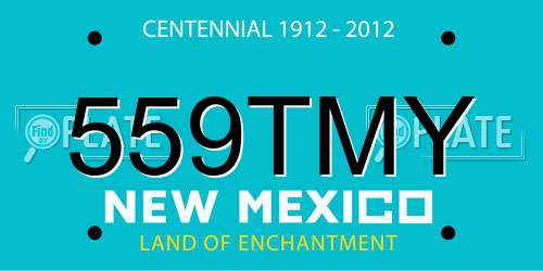559TMY New Mexico License Plate