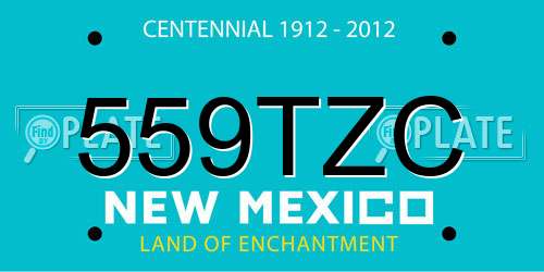 559TZC New Mexico License Plate