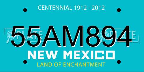 55AM894 New Mexico License Plate