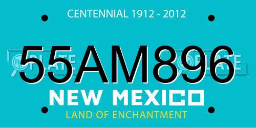 55AM896 New Mexico License Plate