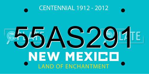55AS291 New Mexico License Plate