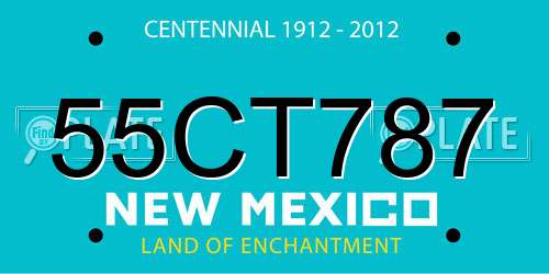 55CT787 New Mexico License Plate