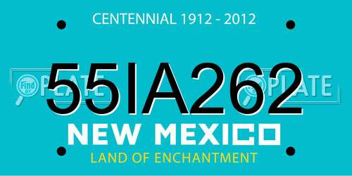 55IA262 New Mexico License Plate