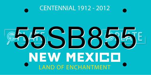 55SB855 New Mexico License Plate