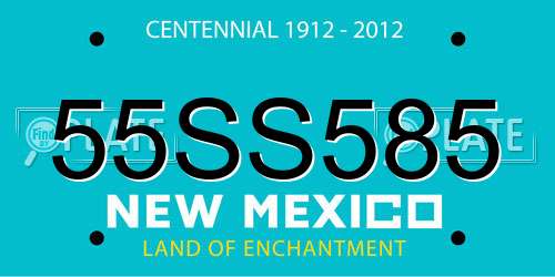 55SS585 New Mexico License Plate