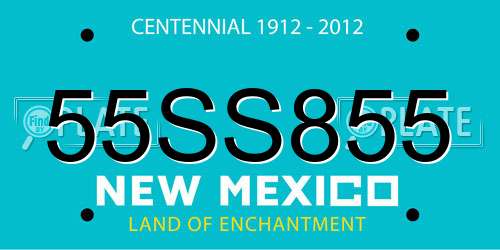 55SS855 New Mexico License Plate