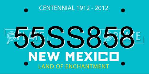 55SS858 New Mexico License Plate