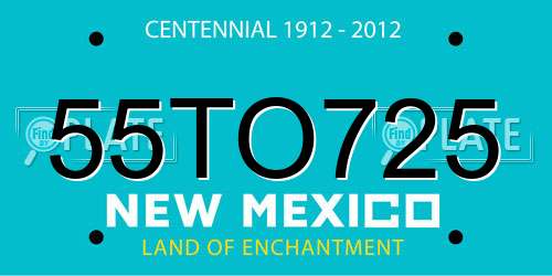 55TO725 New Mexico License Plate