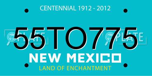 55TO775 New Mexico License Plate