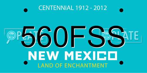 560FSS New Mexico License Plate