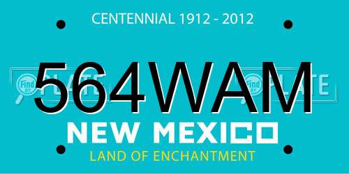 564WAM New Mexico License Plate