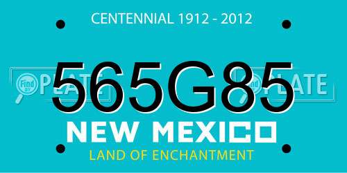 565G85 New Mexico License Plate