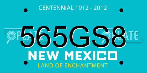 565GS8 New Mexico License Plate
