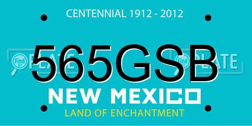 565GSB New Mexico License Plate