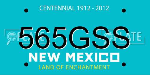 565GSS New Mexico License Plate