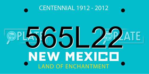 565L22 New Mexico License Plate