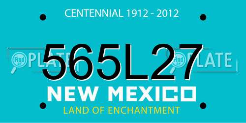 565L27 New Mexico License Plate