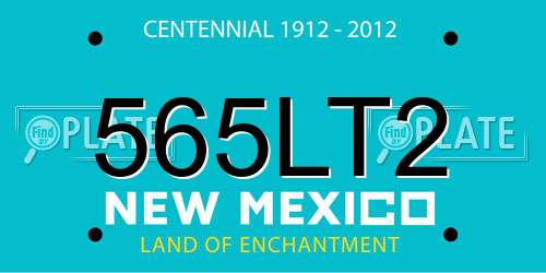 565LT2 New Mexico License Plate