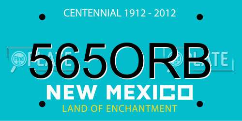 565ORB New Mexico License Plate
