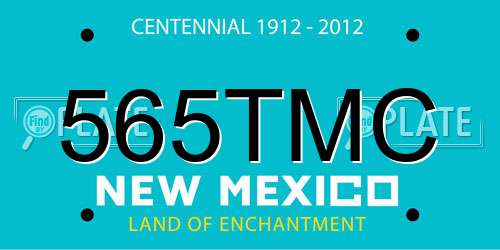565TMC New Mexico License Plate