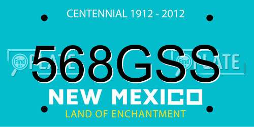 568GSS New Mexico License Plate