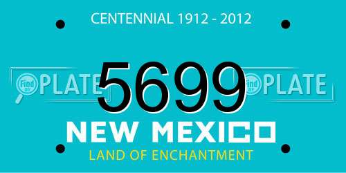 5699 New Mexico License Plate