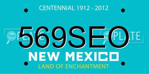 569SEO New Mexico License Plate