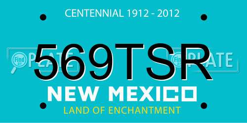 569TSR New Mexico License Plate