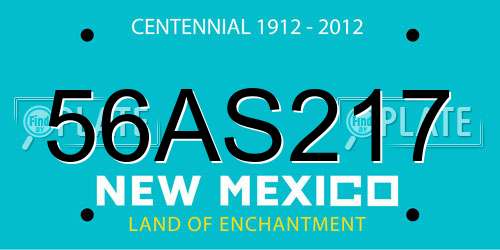 56AS217 New Mexico License Plate