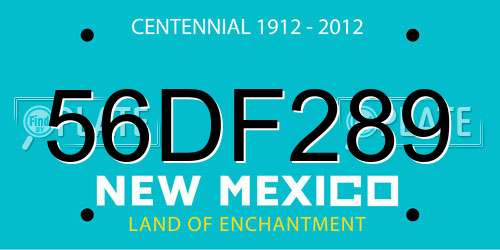 56DF289 New Mexico License Plate