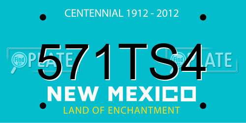 571TS4 New Mexico License Plate