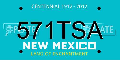 571TSA New Mexico License Plate