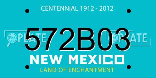 572B03 New Mexico License Plate